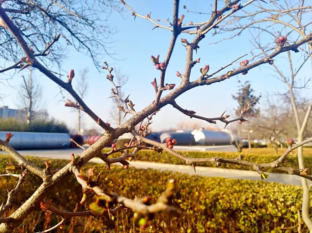 1xBET·Signup(中国游)-官方网站