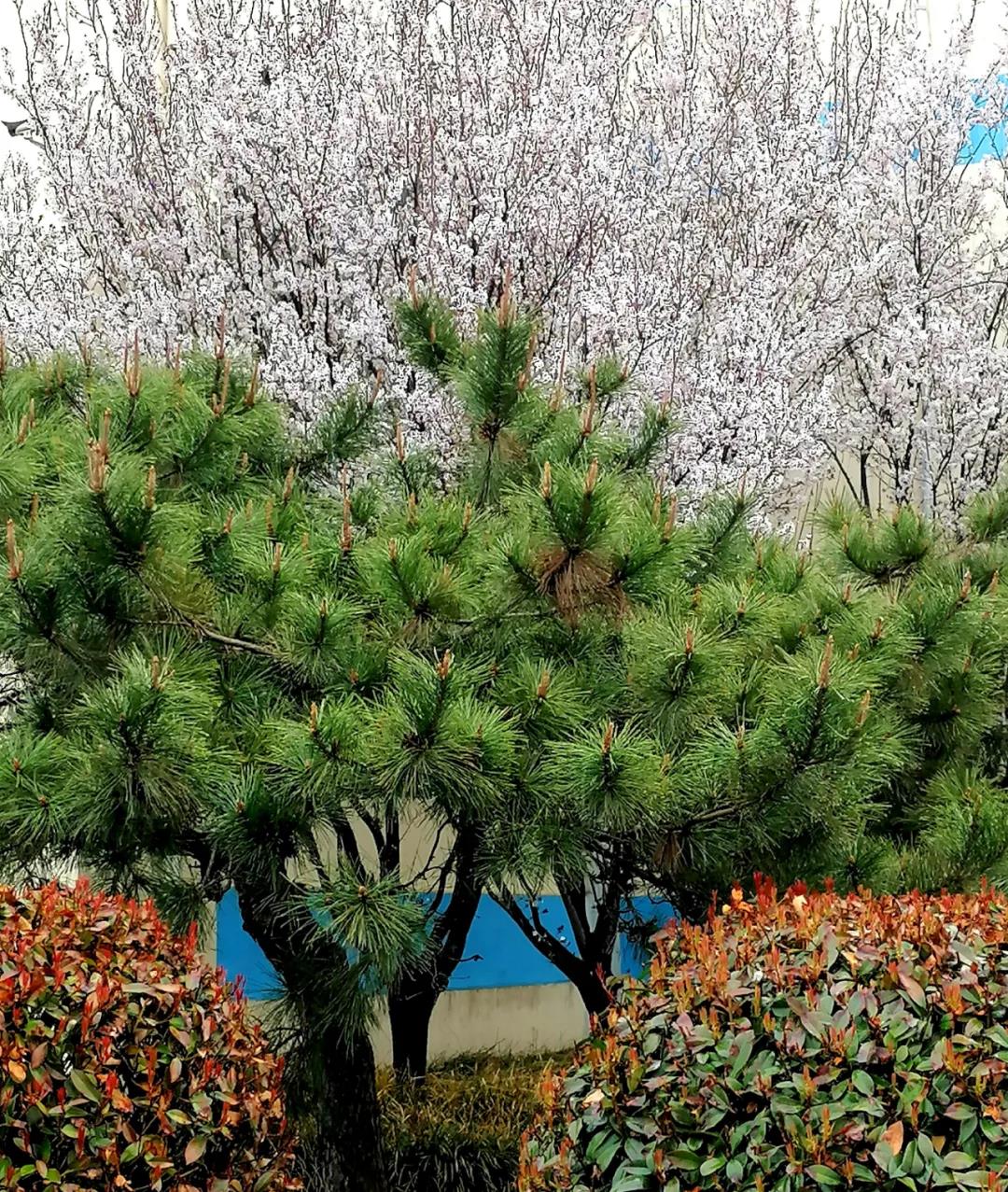 1xBET·Signup(中国游)-官方网站