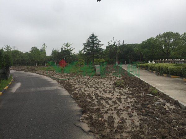 贝斯特 - 全球最奢华的游戏平台