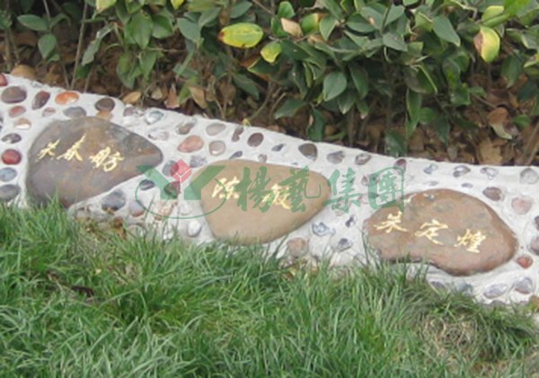 贝斯特 - 全球最奢华的游戏平台