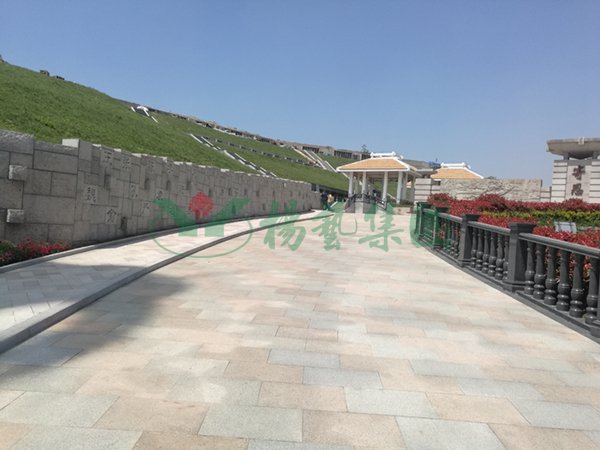 贝斯特 - 全球最奢华的游戏平台