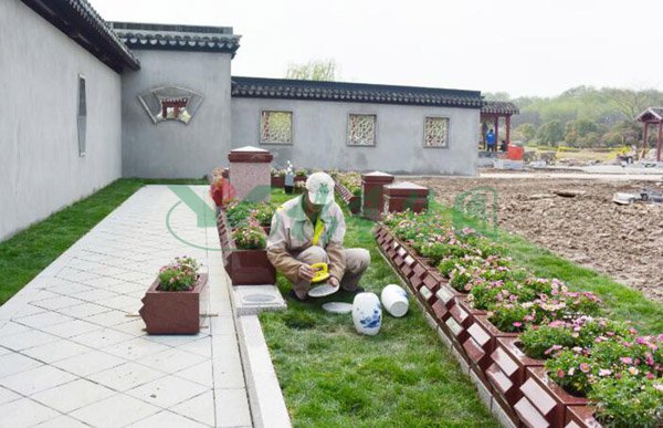 贝斯特 - 全球最奢华的游戏平台