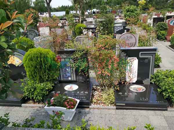 贝斯特 - 全球最奢华的游戏平台