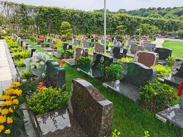 贝斯特 - 全球最奢华的游戏平台