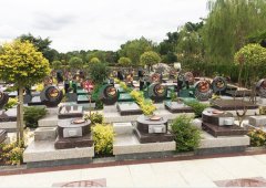 上；懔靶腔鹎