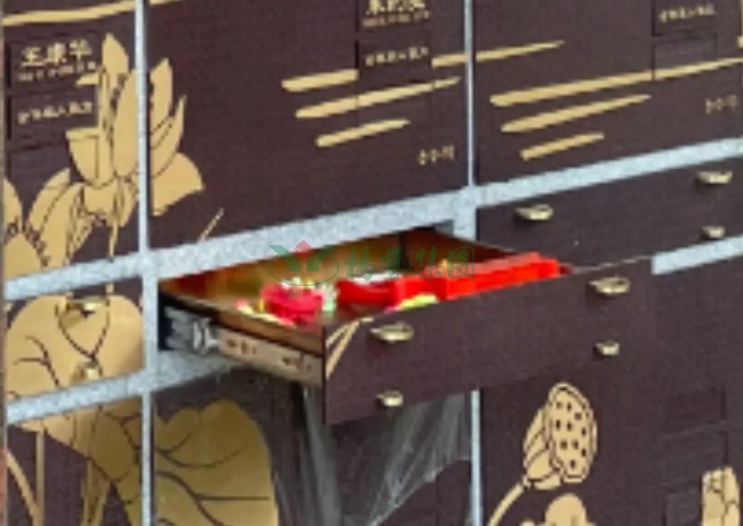 贝斯特 - 全球最奢华的游戏平台