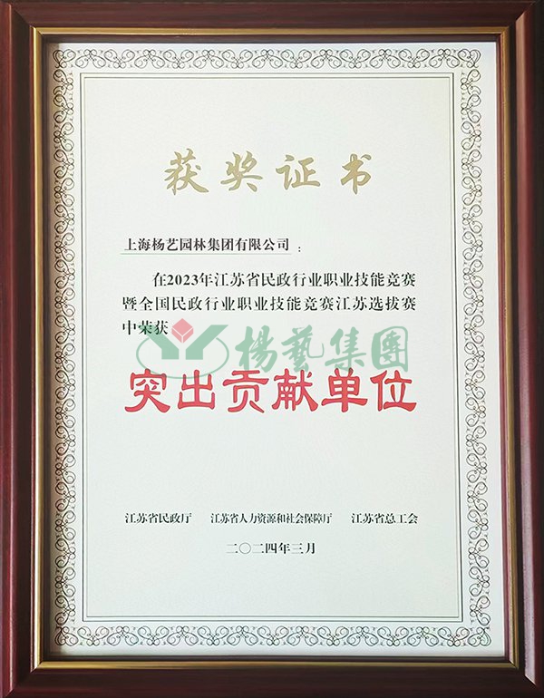 贝斯特 - 全球最奢华的游戏平台