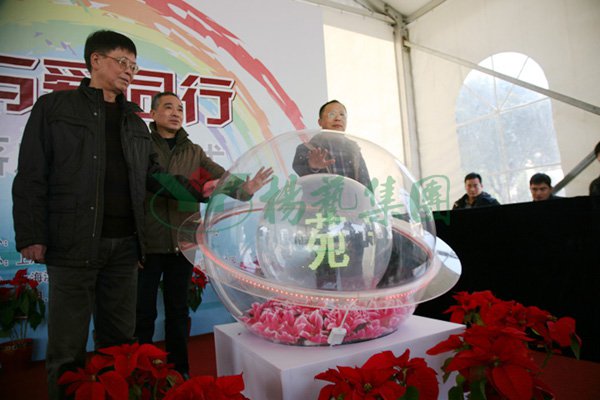 贝斯特 - 全球最奢华的游戏平台