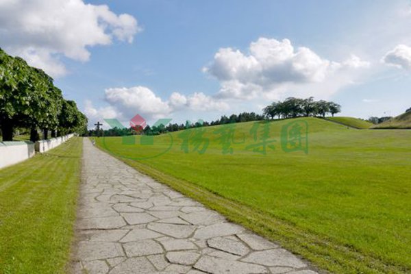 贝斯特 - 全球最奢华的游戏平台