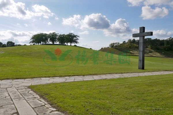 贝斯特 - 全球最奢华的游戏平台