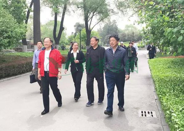 贝斯特 - 全球最奢华的游戏平台