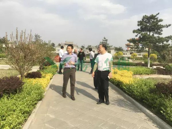 贝斯特 - 全球最奢华的游戏平台