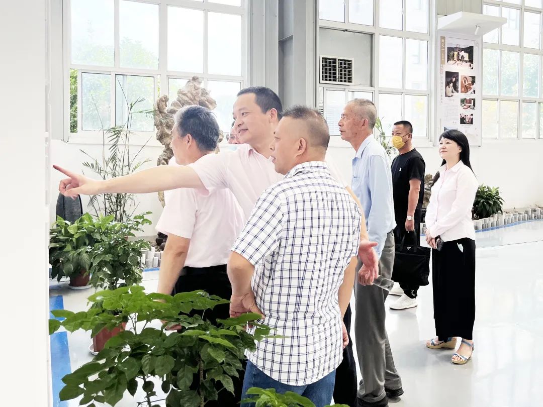 贝斯特 - 全球最奢华的游戏平台