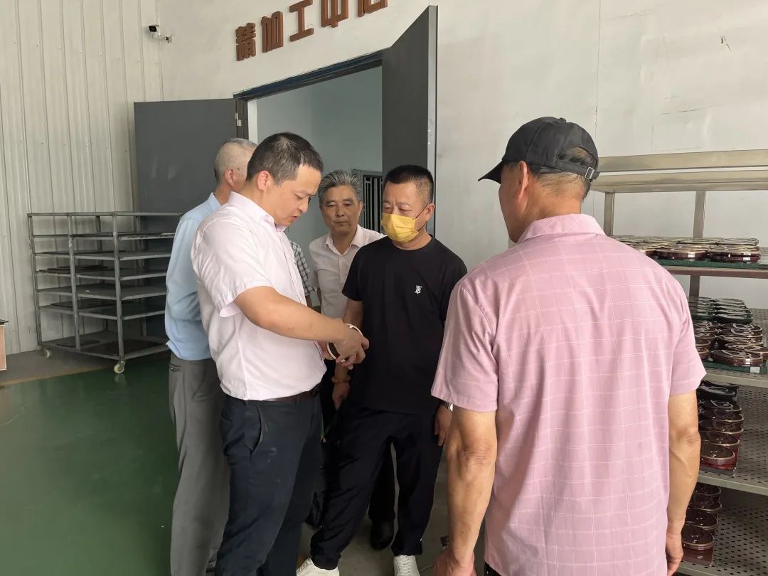 贝斯特 - 全球最奢华的游戏平台