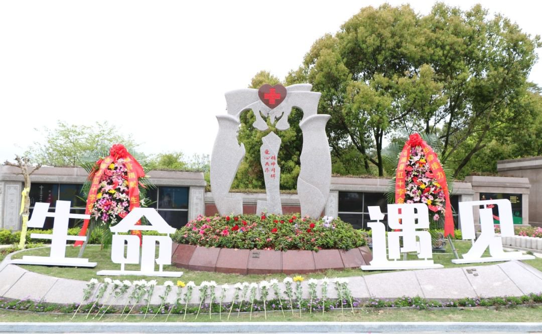 贝斯特 - 全球最奢华的游戏平台