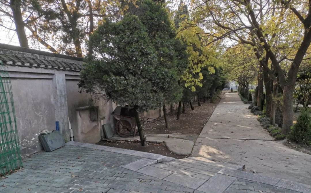 1-24013013351TO 贝斯特 - 全球最奢华的游戏平台