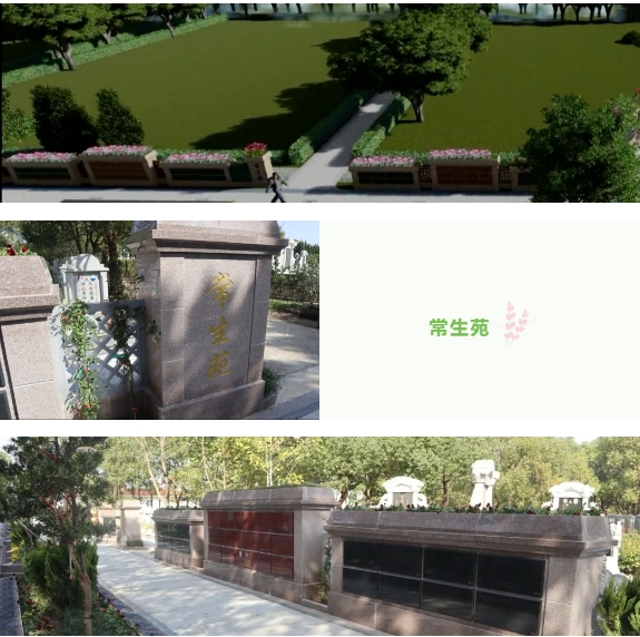 1-240130133F6438 贝斯特 - 全球最奢华的游戏平台