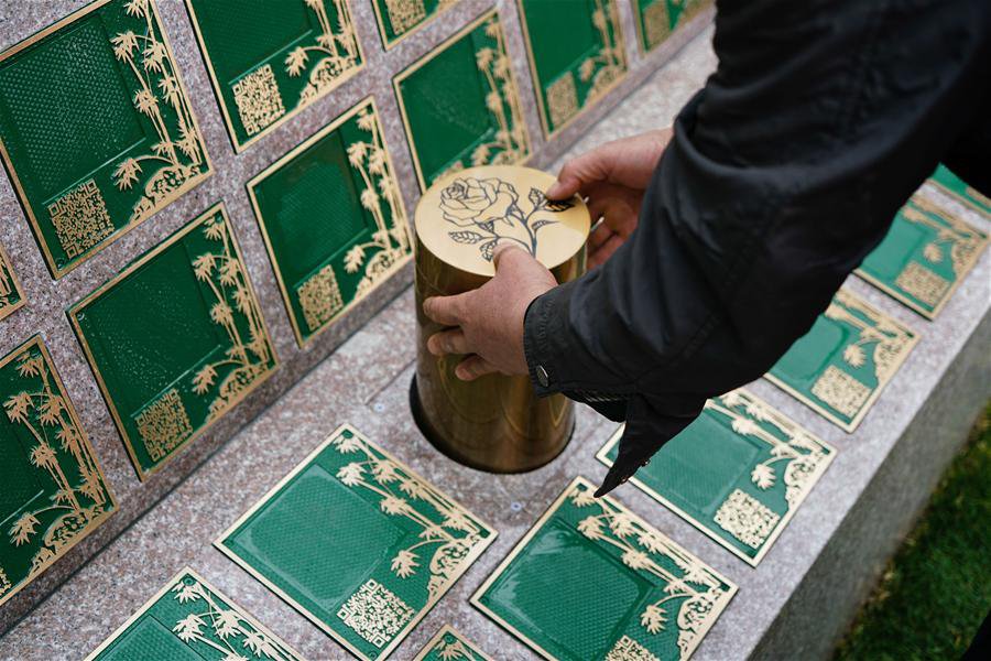 贝斯特 - 全球最奢华的游戏平台