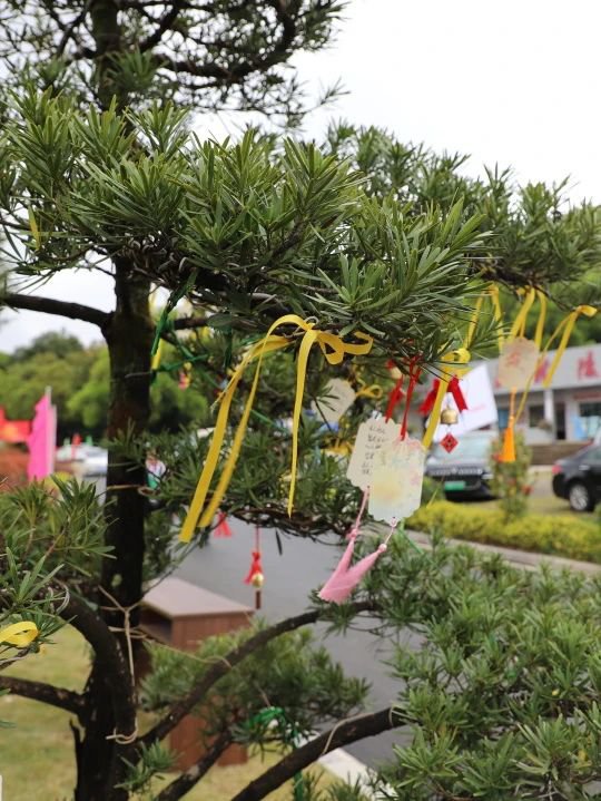 贝斯特 - 全球最奢华的游戏平台