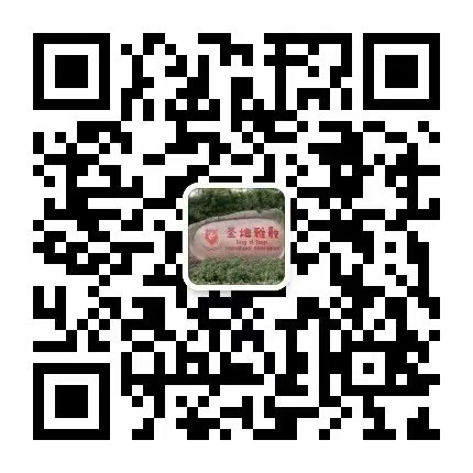 贝斯特 - 全球最奢华的游戏平台