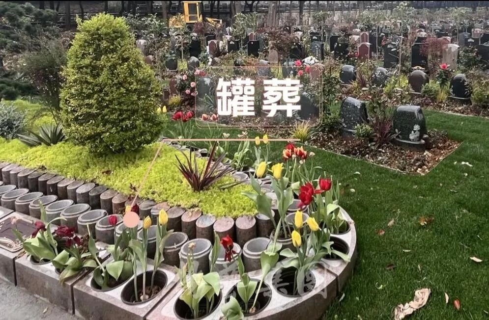 1-26052115062L00 贝斯特 - 全球最奢华的游戏平台