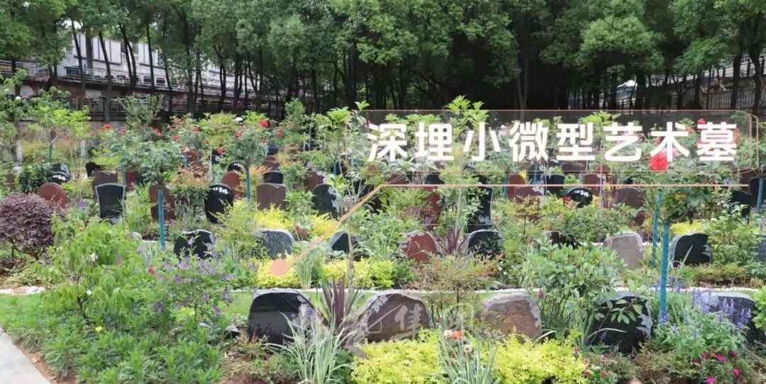 1-260521150935H6 贝斯特 - 全球最奢华的游戏平台