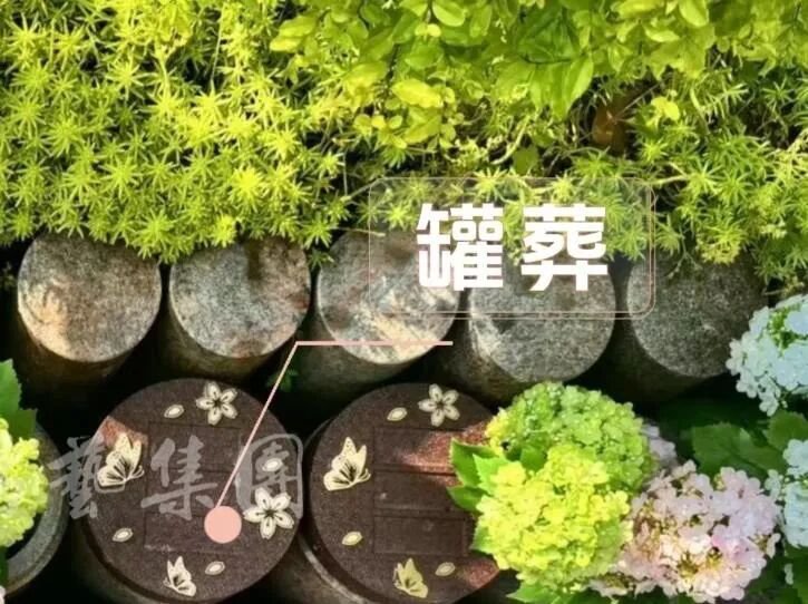 1-260521150H13V 贝斯特 - 全球最奢华的游戏平台